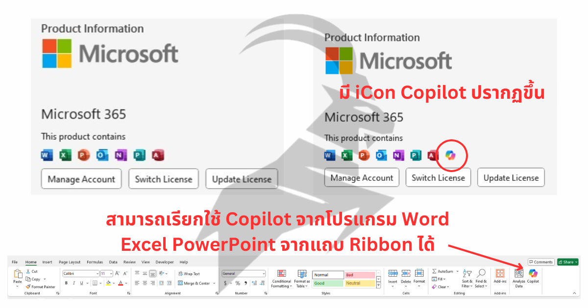 การใช้งาน copilot เข้ากับ Microsoft365