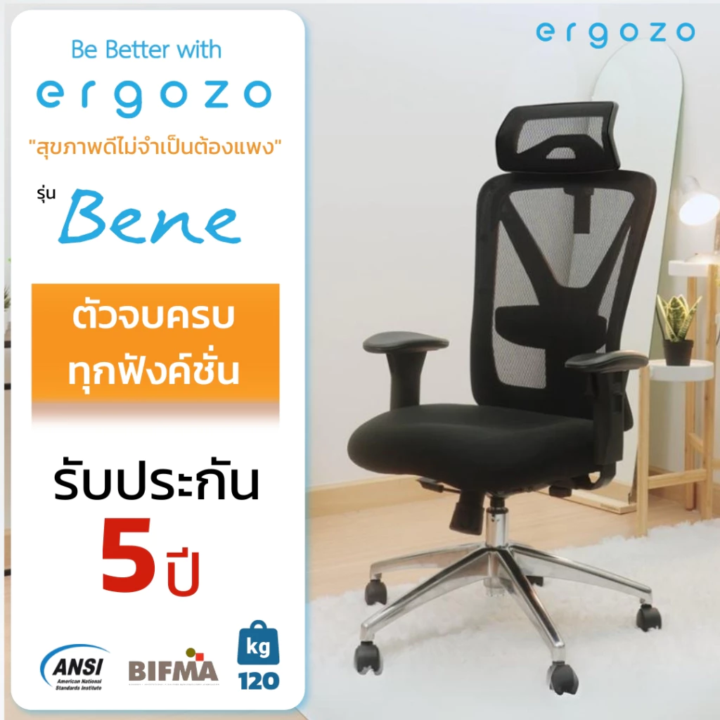 เก้าอี้สุขภาพ ERGOZO รุ่น BENE
