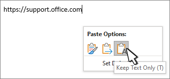 เมนู Paste Options แสดง 3 ไอคอน Keep Source Formatting, Merge Formatting และ Keep Text Only
