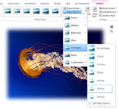 เมนู Picture Effects ของ Word แสดงเอฟเฟกต์ Shadow, Reflection, Glow, Soft Edges, Bevel และ 3-D Rotation