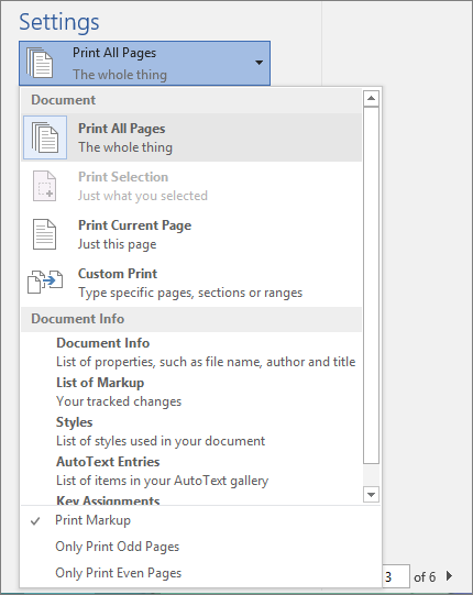 เมนู Settings ขยายแสดงตัวเลือก Print All Pages, Print Current Page และ Custom Print