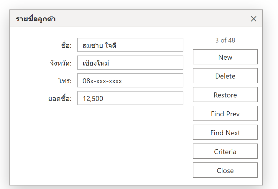 หน้าต่าง Data Form ของ Excel แสดงช่องกรอกแต่ละคอลัมน์ ชื่อ จังหวัด โทร ยอดซื้อ พร้อมปุ่ม New, Delete, Find Next, Criteria
