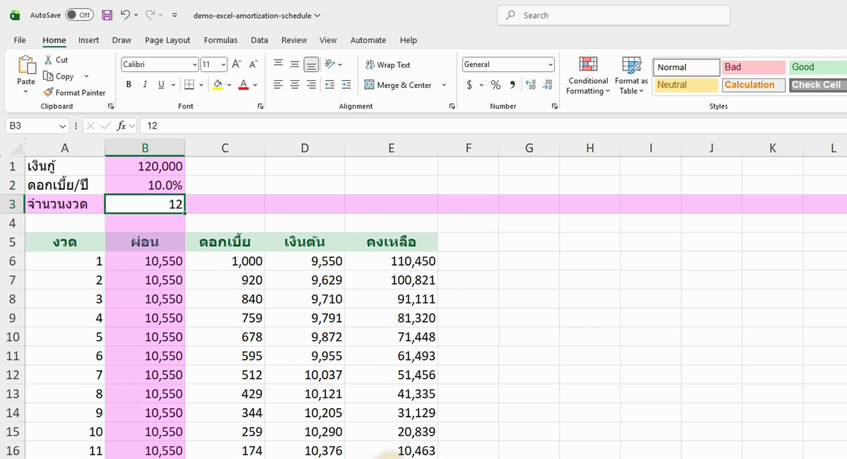 ภาพจริงจาก Excel: Amortization SCHEDULE
