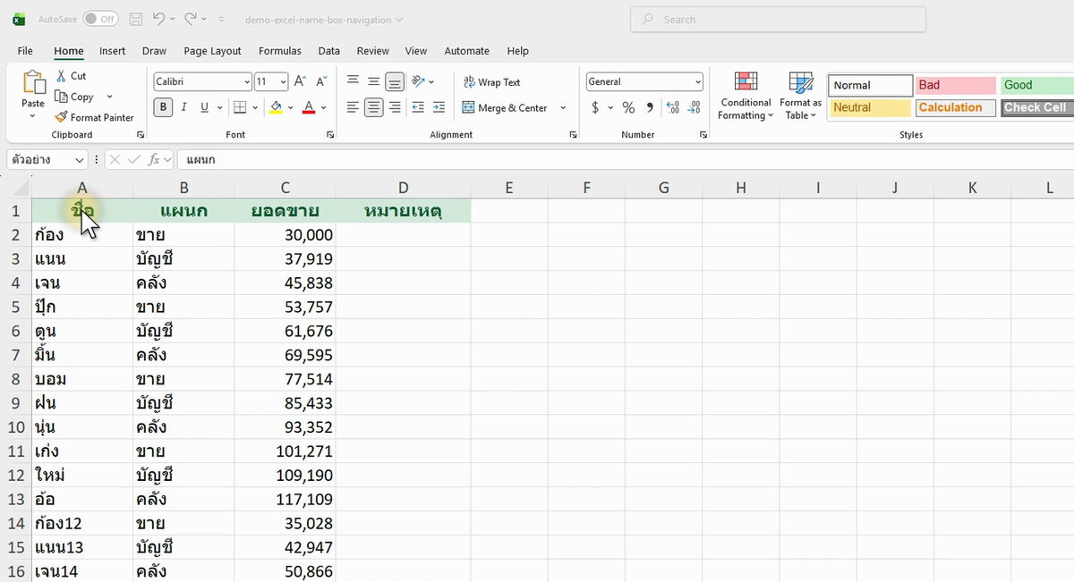 ภาพจริงจาก Excel: NAME BOX Navigation