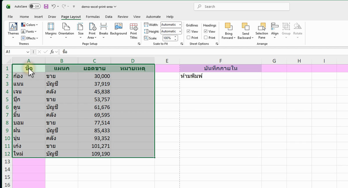 ภาพจริงจาก Excel: PRINT AREA