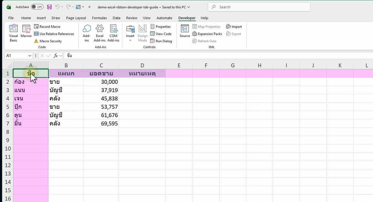 ภาพจริงจาก Excel: RIBBON Developer TAB GUIDE